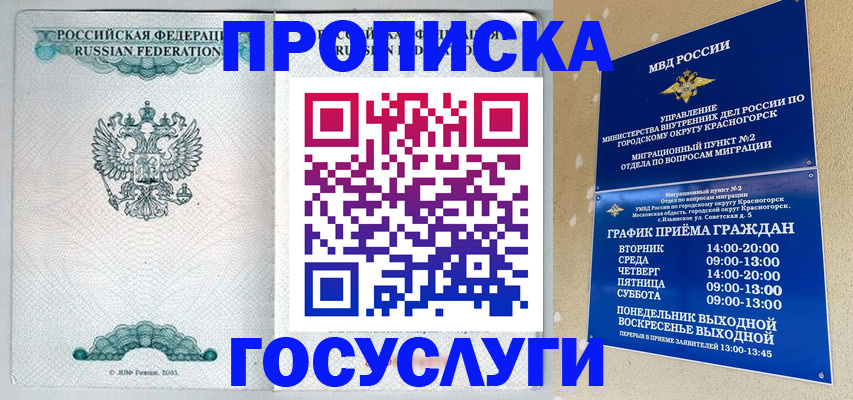 прописка гарантия в Вышнем Волочке